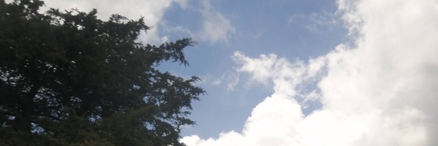 ВЛАДИМИР's banner