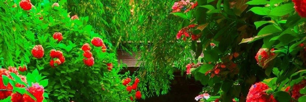 সাথী আক্তার জুই's banner
