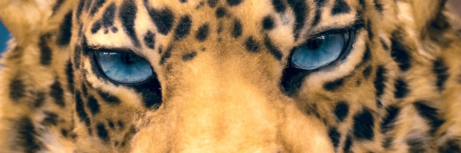 バロン(Baron)/獅子ノ（sisino）'s banner