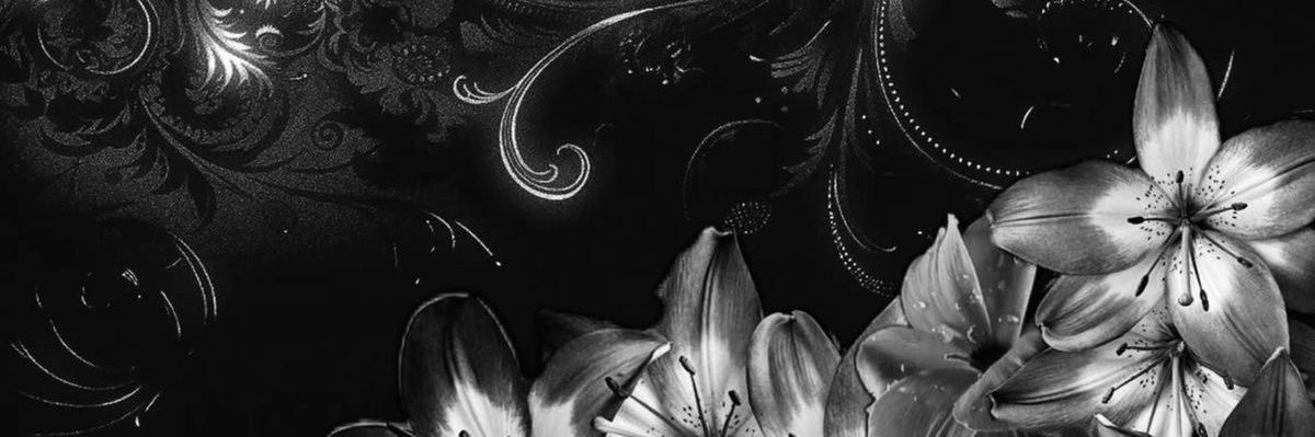 Spider's banner