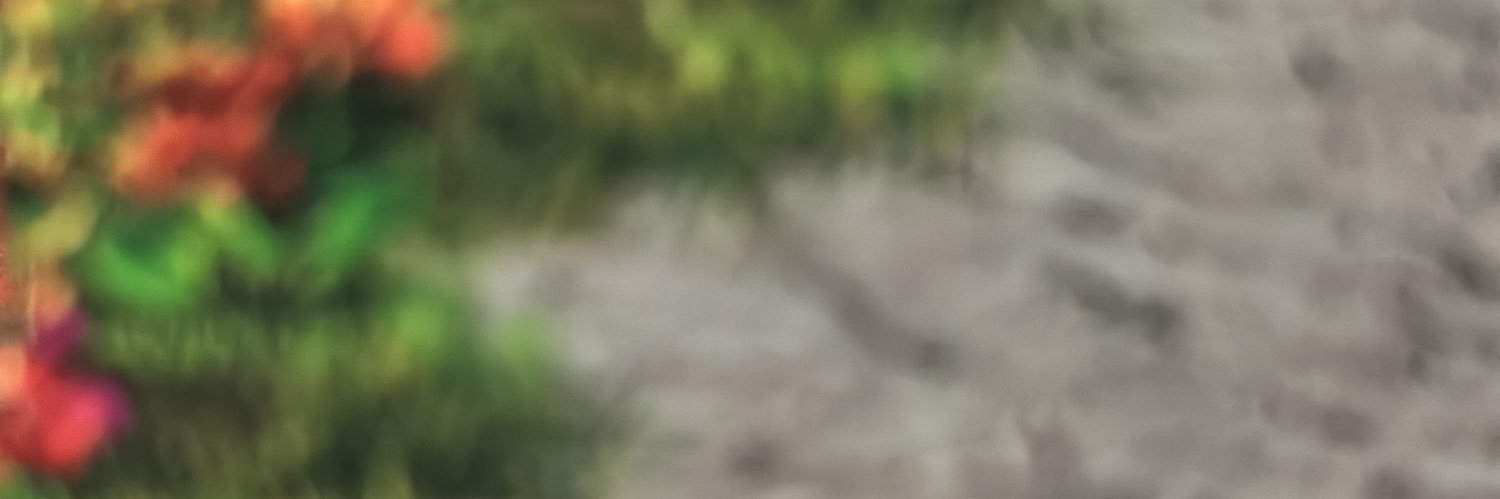 Mehmet Murat Gülfidan's banner