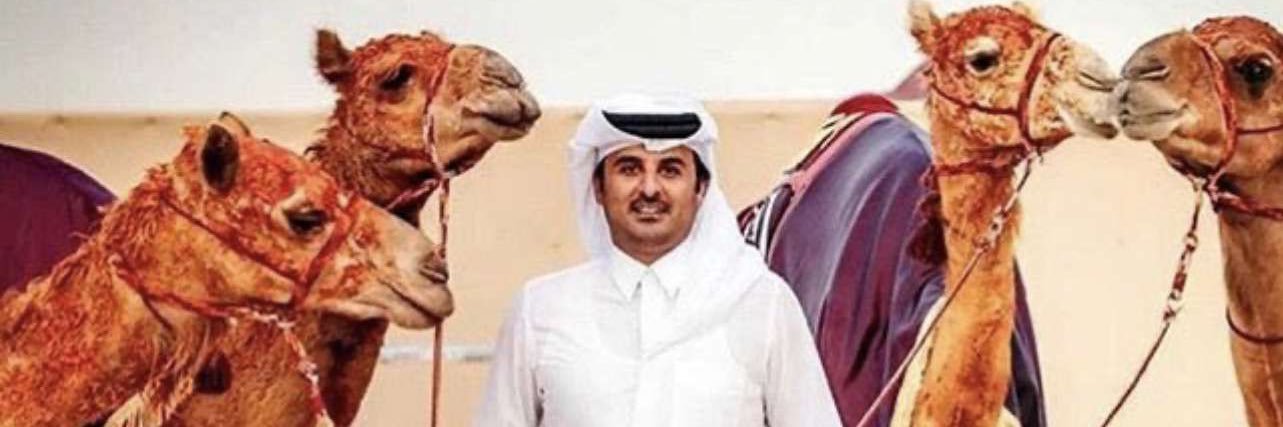 د. مبخوت بوفريح's banner
