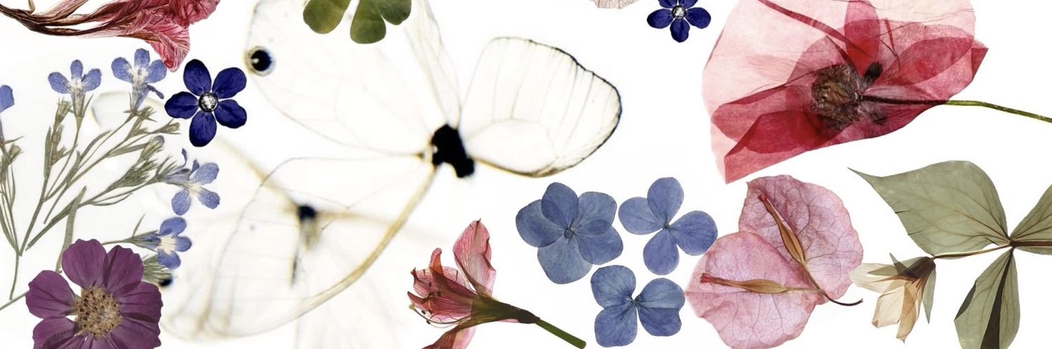 lia's banner