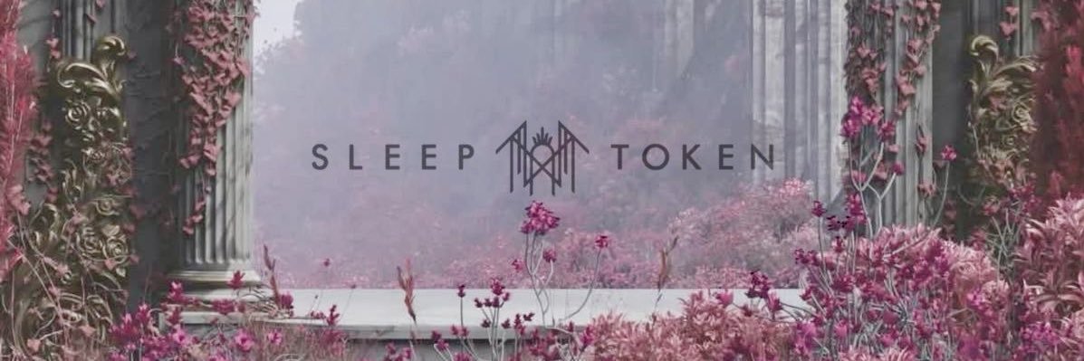 H A Y L E Y's banner
