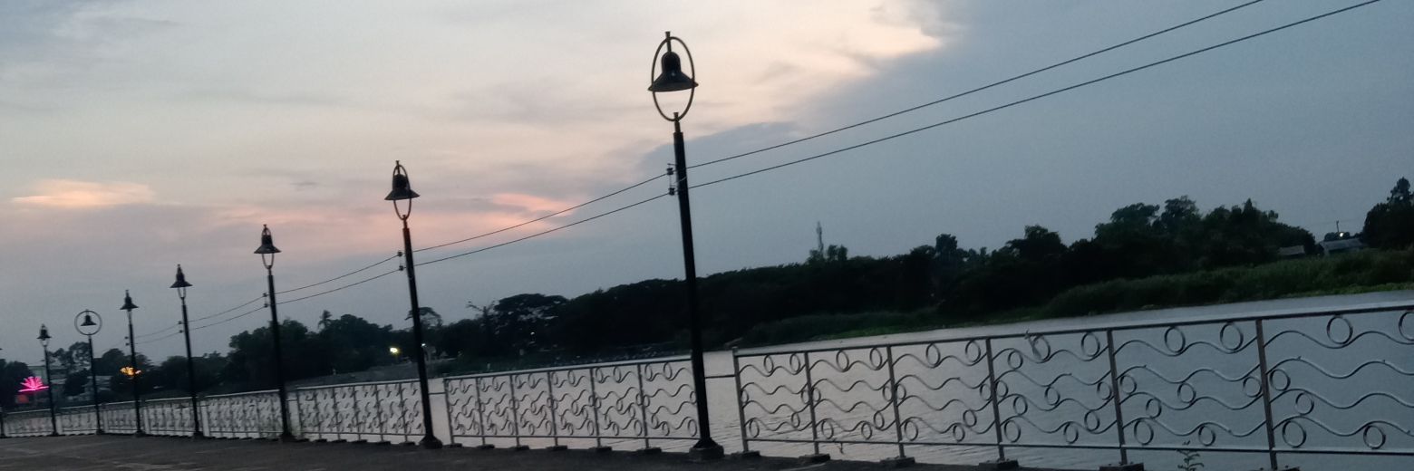 Mini Heart's banner