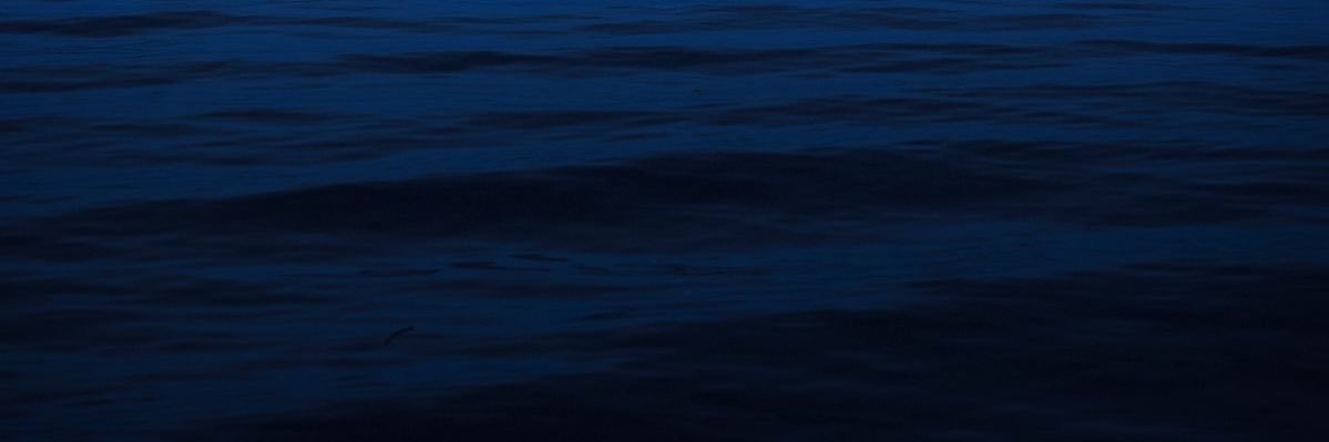 n's banner