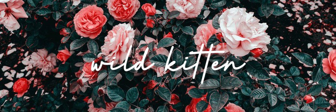 pooĸιe pιхιe💅🏻🎀's banner