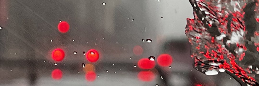 Nasty Natalia's banner