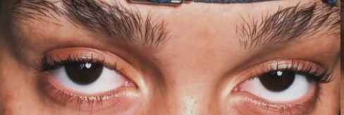 TheLunaticFringe's banner