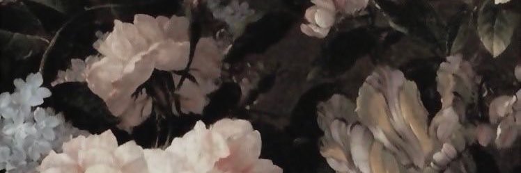 mafer's banner