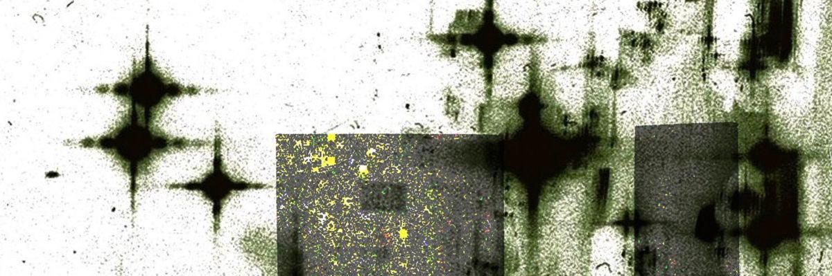 sam ☆'s banner