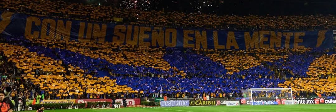 XTigres8's banner