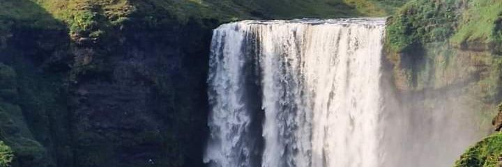 The Nature's banner