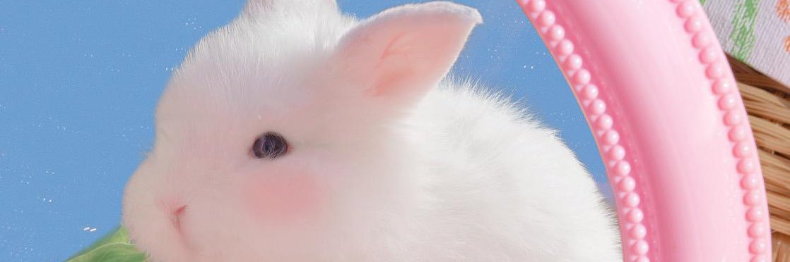 渲儿's banner