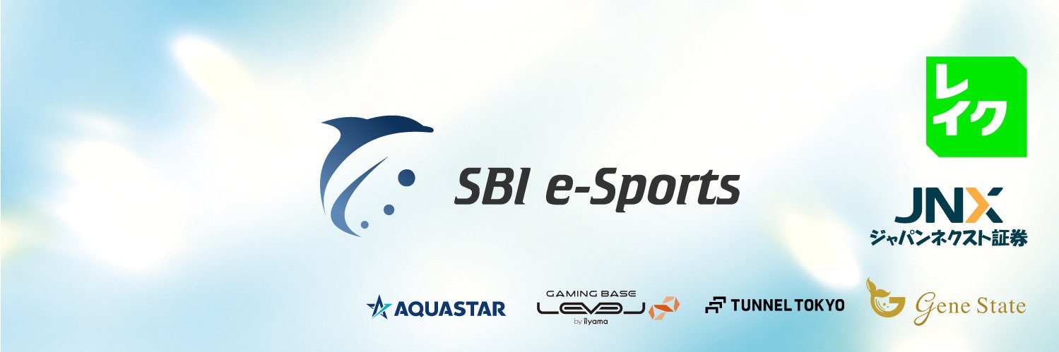 SBI N1ght's banner