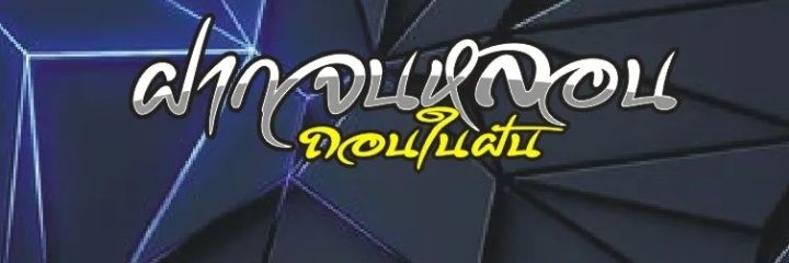 เฮียพาลุย V.2's banner