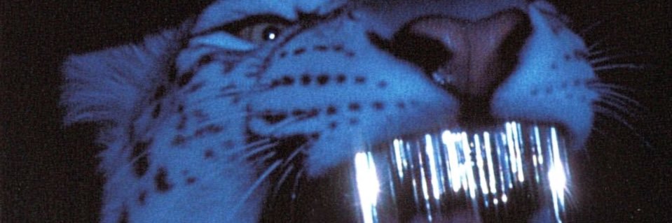 Sandlöwe's banner
