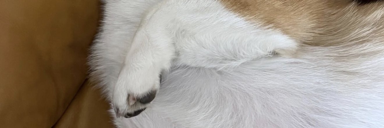 ‎♡𝑚𝑒𝑙shi ‧₊˚◞♡'s banner