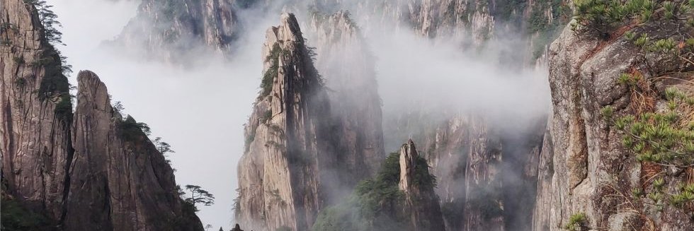 一枝红杏's banner