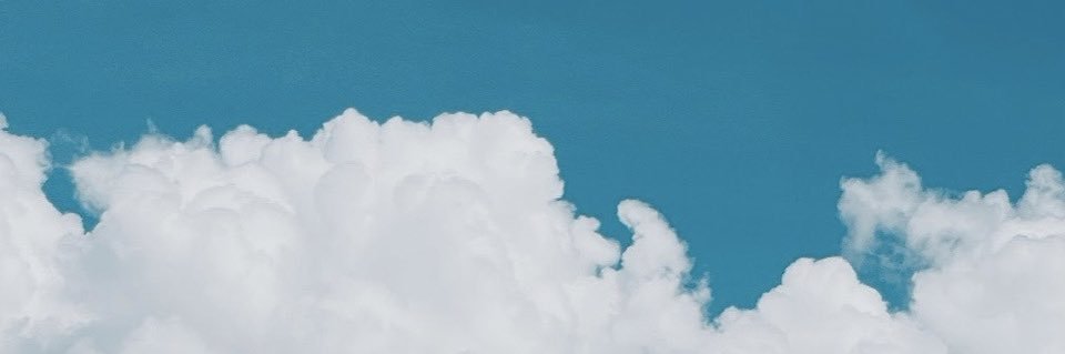 りりここたんねる。【シベリアンハスキー】's banner