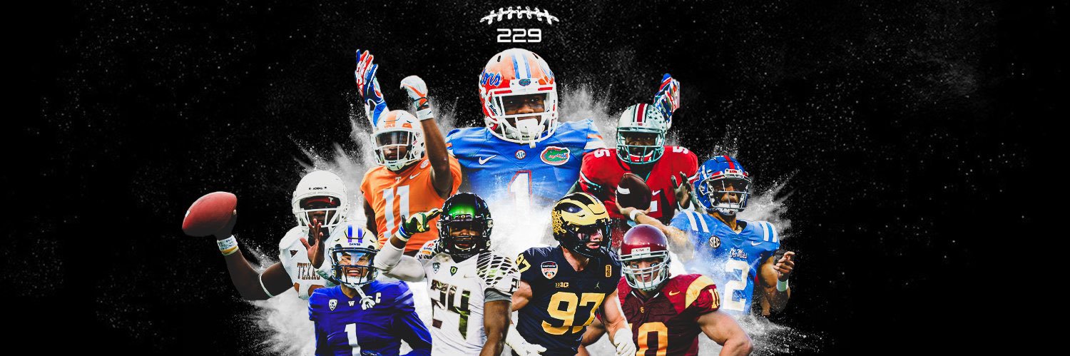 229's banner