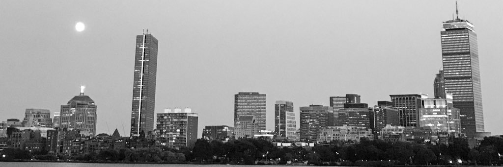 INMYSALMON's banner