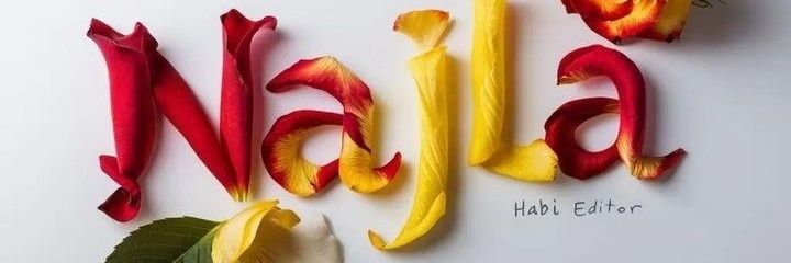صـ༈ۖ҉ـدى❣️'s banner