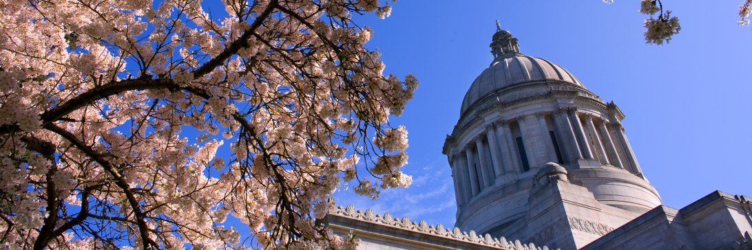WA House Democrats's banner