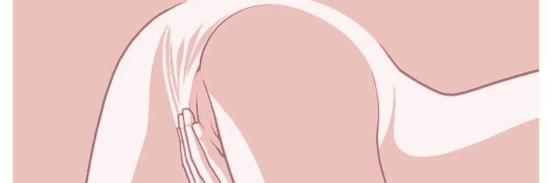珍美栗's banner