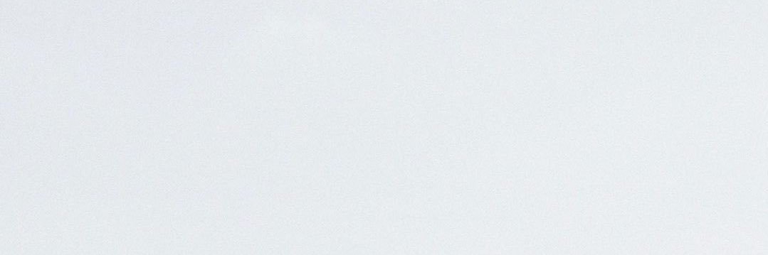 blue dive's banner
