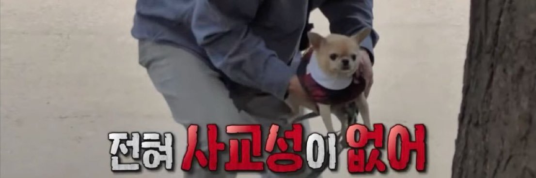 운영자's banner