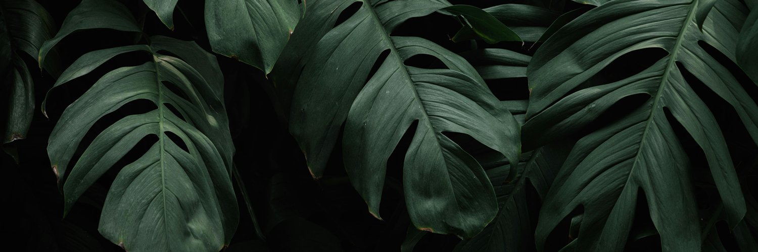 𝐐𝐔𝐄𝐄𝐍 𝐈𝐒𝐀𝐁𝐄𝐋 (12/27 🎂)'s banner