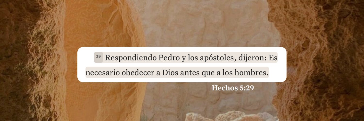 Vico's banner