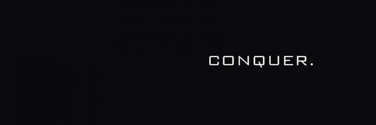 Quinn's banner