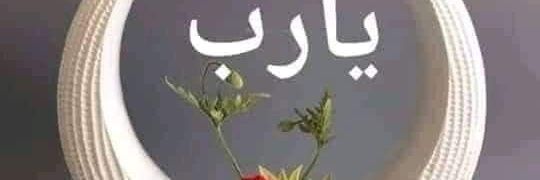 Rizvi's banner