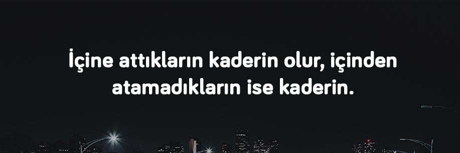 Sevgi's banner