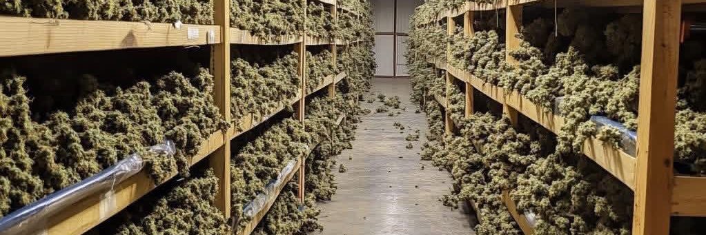 ⛽️BUD🔌's banner