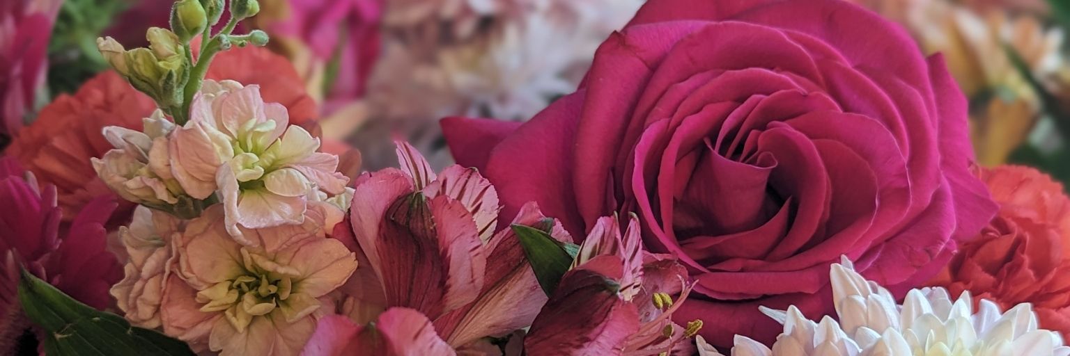 figleaves4me's banner