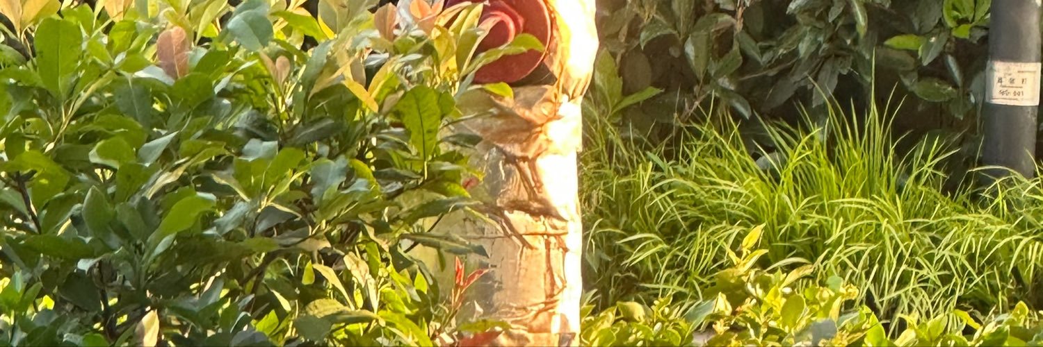 卡洛's banner