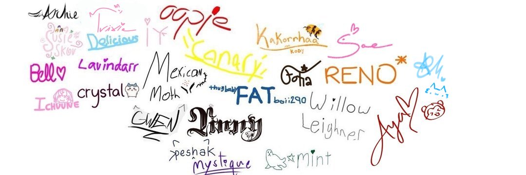 🐱's banner