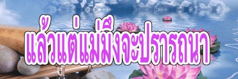 ปลาทอง💢 𓈒𓂃𓆡's banner