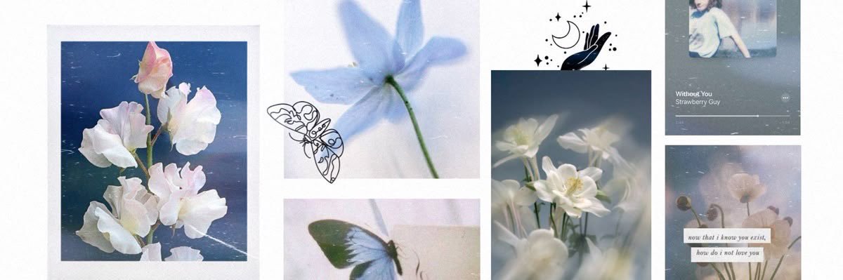athena, ✿'s banner