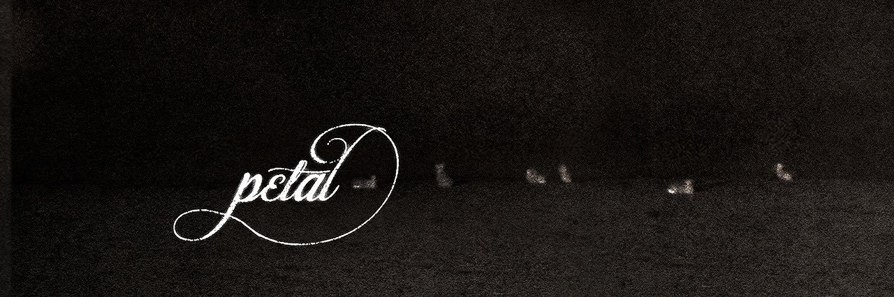 ola 𑣿's banner
