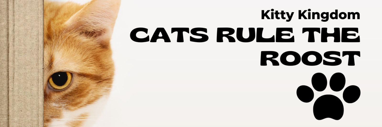 CatsLove's banner