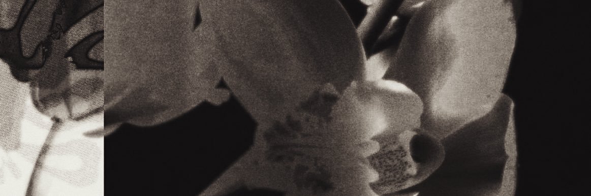 𓂃's banner