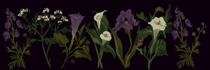 sar's banner