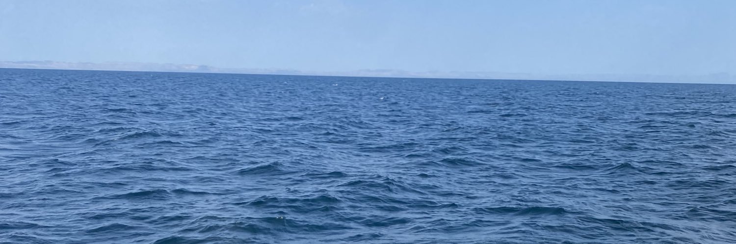 LaEsposaViral's banner