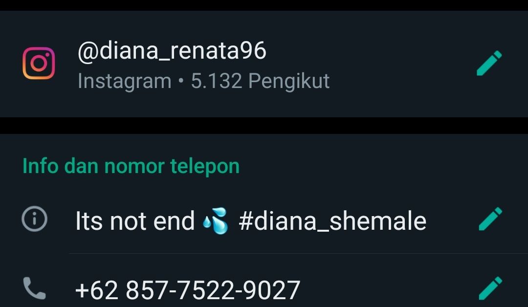 Shemale_DianaRenata96_BSD's banner