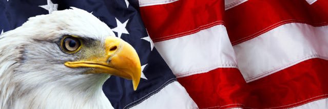 🇺🇸King David🇺🇸 IN's banner
