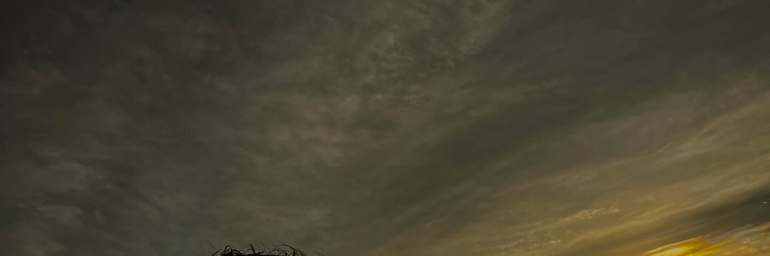fat pig 🐷's banner